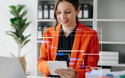 Chef de projet crm