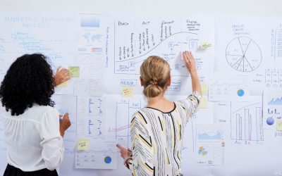 VP Marketing