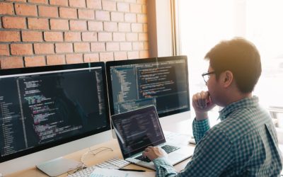 Développeur web Node/Vuejs