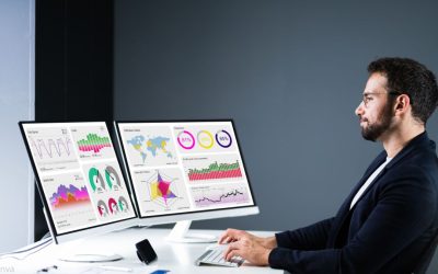 Head of Analytics