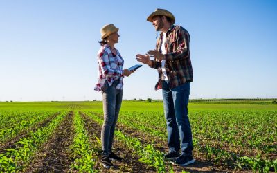 Ingénieur Commercial Agronome